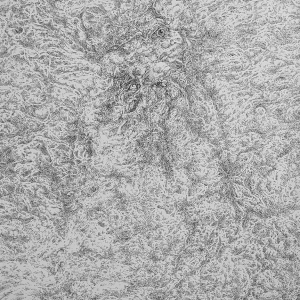 Mike Zangerl *Ohne Titel* 1998 - 2021, 50 x 70