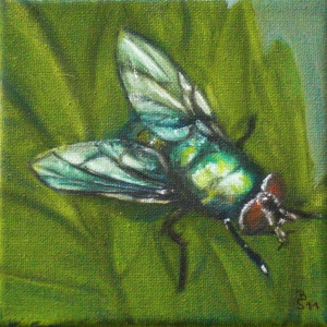 Fliege