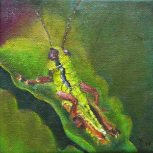 Heuschrecke