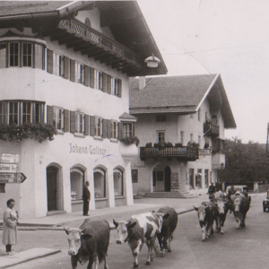 Haus Gollner und ein Beweis für Bauern in der Stadt