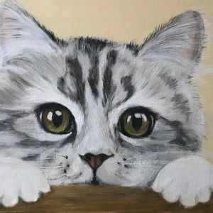 Katze