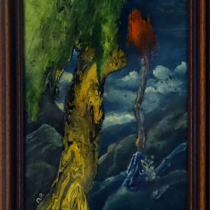 Armin Oberhauser
