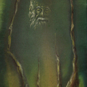 Armin Oberhauser