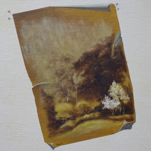 Armin Oberhauser