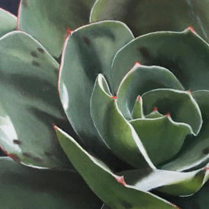 Blume