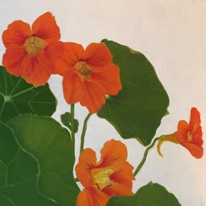 Blume