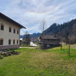 Der Bio-Hof Pinnersdorf besteht heute noch als Landwirtschaft mit eigenem Bauernladen
