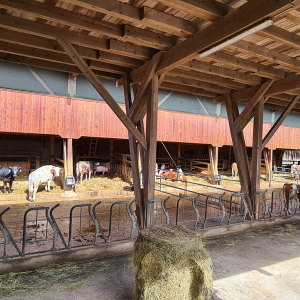 Der Bio-Hof Pinnersdorf besteht heute noch als Landwirtschaft mit eigenem Bauernladen