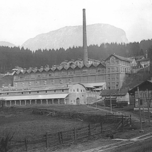 Saullichwerk Perlmoos, 1930