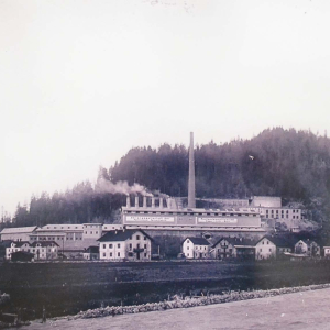 ca. 1900, Egger und Lüthi, Portland Zement Fabrik mit 15 Kaminen