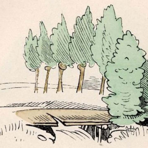 Jener Streich von Wilhelm Buschs Max & Moritz, bei dem der Schneider von einer angesägten Brücke stürzt, soll sich in Wörgl zugetragen haben.
