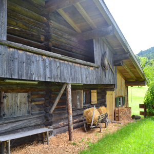 Neben der Doaglkapelle die Doagl-Hütte vom Riederbauern