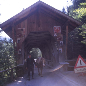 Wildschönauerstraße