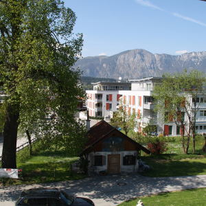 2011, der Baum links verdeckt die Wildschönauer Straße, neue Wohnanlage am Dalln-Anger, Stadtbauhof