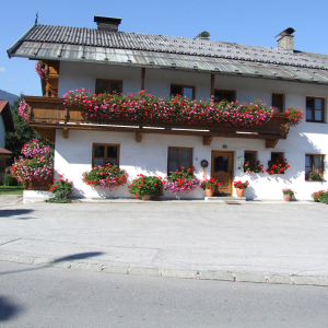 2011, Gogl-Bauer, links dahinter: Hausberger Haus am Peter-Mitterhofer-Weg