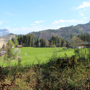 Ausblick vom Fuchsweg zur Doagl-Kapelle. Foto: Spielbichler