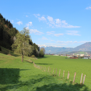 Der Fuchsweg führt entlang des Fußes der Möslalm, im Ortsteil Winkl über Wiesen bis zum Fluckingerbach, wo der Weg wieder in den Wald mündet. Foto: Spielbichler