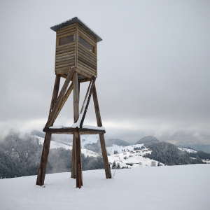 Hochstand Bromberg, Söll, 2014