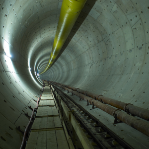 Tunnel mit Holzweg, 2007