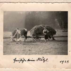 Heufuhr beim Hölzl, ca. 1938