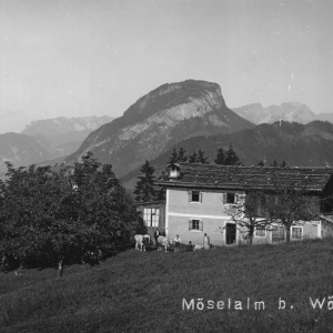 Möslalm oberhalb von Wörgl