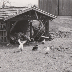 Wörgl, Haus unbekannt