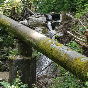 Wasserkraftanlage Müllnertal, Tag der offenen Tür 2019