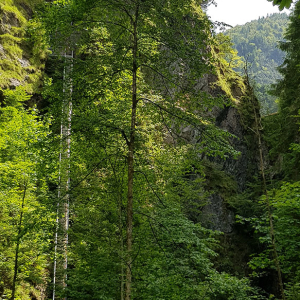 Wasserkraftanlage Müllnertal, Tag der offenen Tür 2019