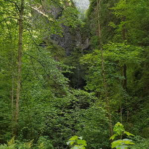 Wasserkraftanlage Müllnertal, Tag der offenen Tür 2019