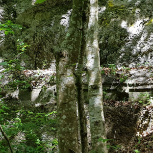 Wasserkraftanlage Müllnertal, Tag der offenen Tür 2019